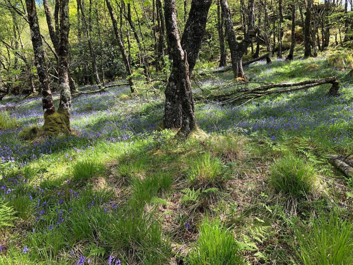 Barfad Self Catering Holiday Cottages ターバート エクステリア 写真